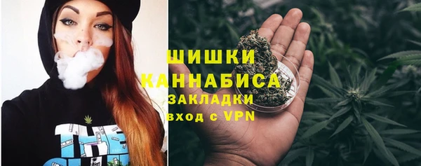 тгк Касимов