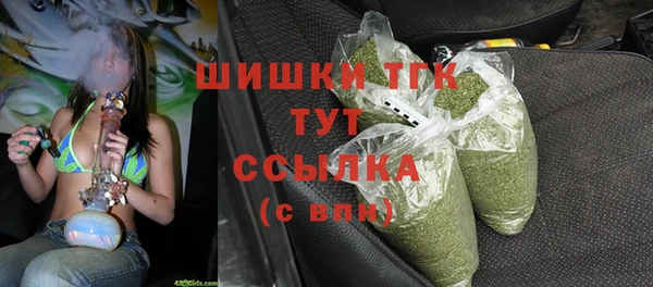 тгк Касимов