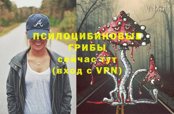 тгк Касимов