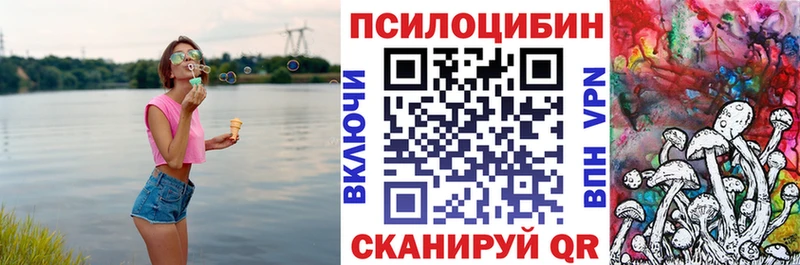 Галлюциногенные грибы Cubensis  Купить закладки  Лаишево 