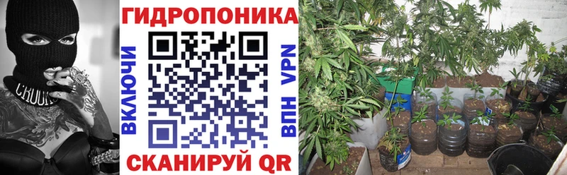 Марихуана план  Купить закладки  Лаишево 